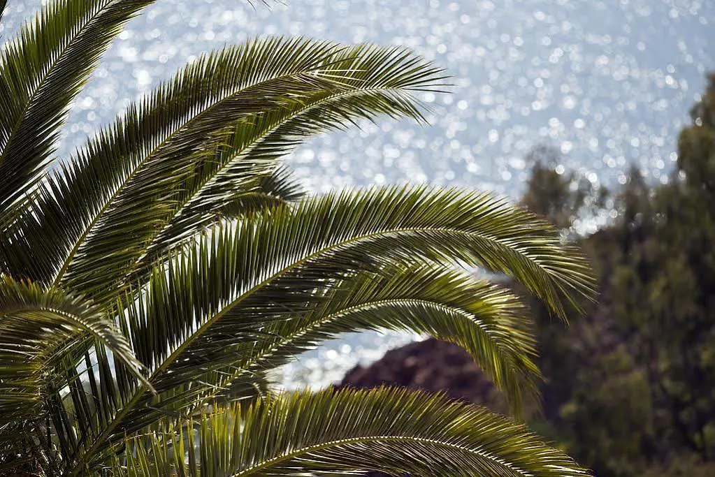 Tiara Yaktsa Cote D'Azur Hotell Théoule-sur-Mer